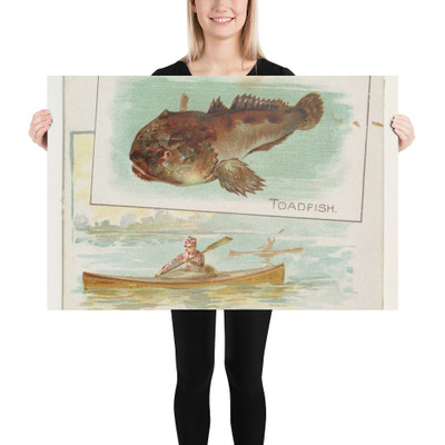 Toadfish, from Fish from American Waters series (N39) for Allen & Ginter Cigarettes - Allen & Ginter - 1889 - Paper Poster Museum quality 7742393