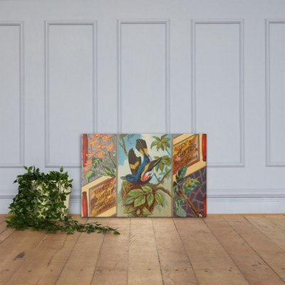 Redstart, from the Birds of America series (N37) for Allen & Ginter Cigarettes - Allen & Ginter - 1888 - Canvas Museum quality 7719849