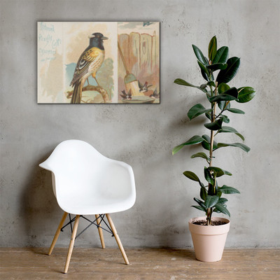 Stitch Bird, from the Song Birds of the World series (N42) for Allen & Ginter Cigarettes - Allen & Ginter - 1890 - Canvas Museum quality 7725363