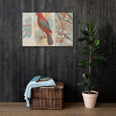 Brazilian Tanager, from the Song Birds of the World series (N42) for Allen & Ginter Cigarettes - Allen & Ginter - 1890 - Canvas Museum quality 7719887