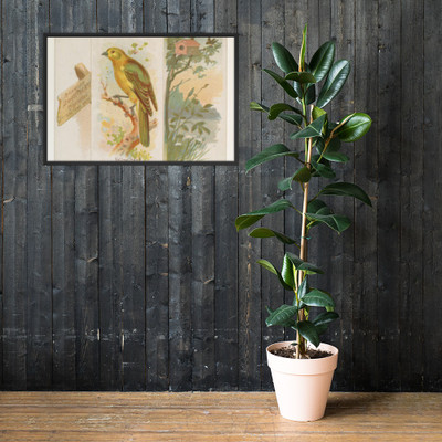 Yellow-head, from the Song Birds of the World series (N42) for Allen & Ginter Cigarettes - Allen & Ginter - 1890 - Matte Paper Framed Poster Museum quality 7725291