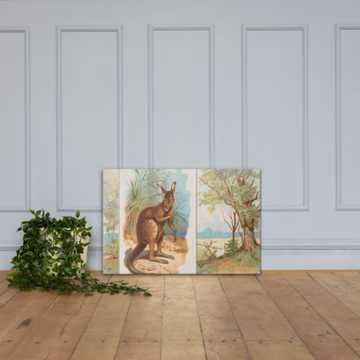 Kangaroo, from Quadrupeds series (N41) for Allen & Ginter Cigarettes - Allen & Ginter - 1890 - Canvas Museum quality 7748308