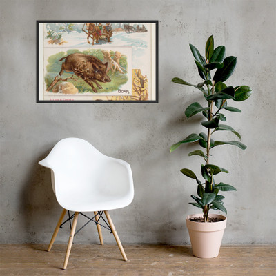 Boar, from Quadrupeds series (N41) for Allen & Ginter Cigarettes - Allen & Ginter - 1890 - Photo Paper Framed Poster Museum quality 7748433