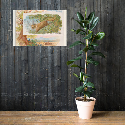 Flying Squirrel, from Quadrupeds series (N41) for Allen & Ginter Cigarettes - Allen & Ginter - 1890 - Photo Paper Poster Museum quality 7748484