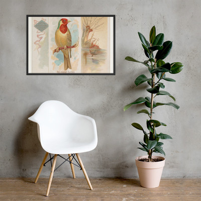 Red-headed Bunting, from the Song Birds of the World series (N42) for Allen & Ginter Cigarettes - Allen & Ginter - 1890 - Photo Paper Framed Poster Museum quality 7725226