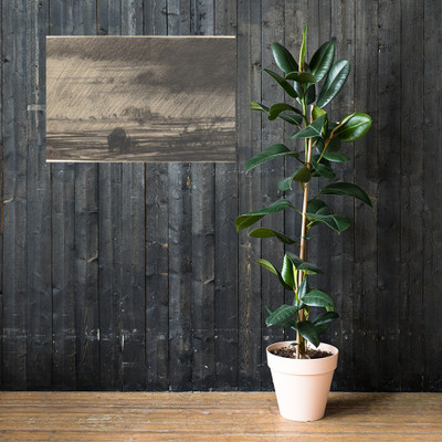 Landscape in a Storm - Charles-François Daubigny - ca. 1860 - Photo Paper Poster Museum quality 7743859