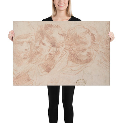 Studies of Four Heads - Anonymous, Italian, Roman-Bolognese, 17th century - 17th century - Canvas Museum quality 7746236