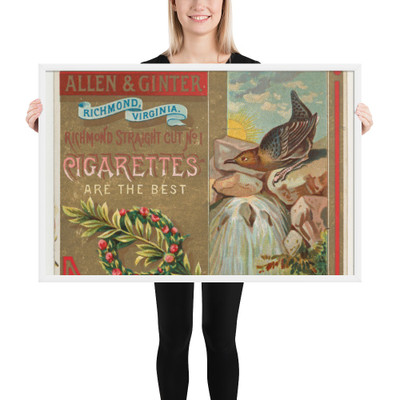 Dipper, from the Birds of America series (N37) for Allen & Ginter Cigarettes - Allen & Ginter - 1888 - Photo Paper Framed Poster Museum quality 7725246