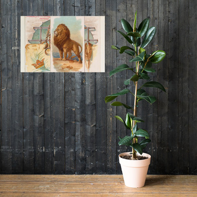 Lion, from Quadrupeds series (N41) for Allen & Ginter Cigarettes - Allen & Ginter - 1890 - Paper Poster Museum quality 7748253