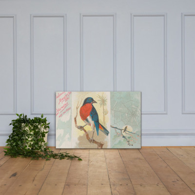 Swallow Dicaeum, from the Song Birds of the World series (N42) for Allen & Ginter Cigarettes - Allen & Ginter - 1890 - Canvas Museum quality 7725329