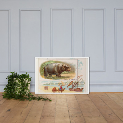 Hippopotamus, from Quadrupeds series (N41) for Allen & Ginter Cigarettes - Allen & Ginter - 1890 - Matte Paper Framed Poster Museum quality 7748212