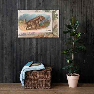 Hyena, from Quadrupeds series (N41) for Allen & Ginter Cigarettes - Allen & Ginter - 1890 - Canvas Museum quality 7748263