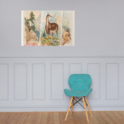 Llama, from Quadrupeds series (N41) for Allen & Ginter Cigarettes - Allen & Ginter - 1890 - Photo Paper Poster Museum quality 7748275