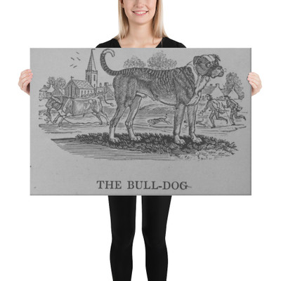 Quadrupeds - Thomas Bewick - [1820] - Canvas Museum quality 7740545