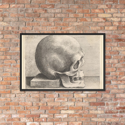 Skull in profile to right - Wenceslaus Hollar - 1645 - Matte Paper Framed Poster Museum quality 7741223