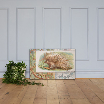 Porcupine, from Quadrupeds series (N41) for Allen & Ginter Cigarettes - Allen & Ginter - 1890 - Canvas Museum quality 7719947