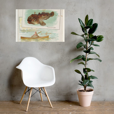 Toadfish, from Fish from American Waters series (N39) for Allen & Ginter Cigarettes - Allen & Ginter - 1889 - Photo Paper Poster Museum quality 7742416