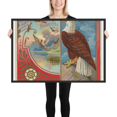 Eagle, from the Birds of America series (N37) for Allen & Ginter Cigarettes - Allen & Ginter - 1888 - Photo Paper Framed Poster Museum quality 7725245