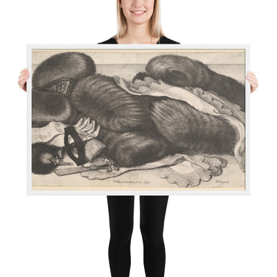 Still-life with a group of muffs, a pair of gloves, fans, mask and two kerchiefs - Wenceslaus Hollar - 1647 - Matte Paper Framed Poster Museum quality 7739999