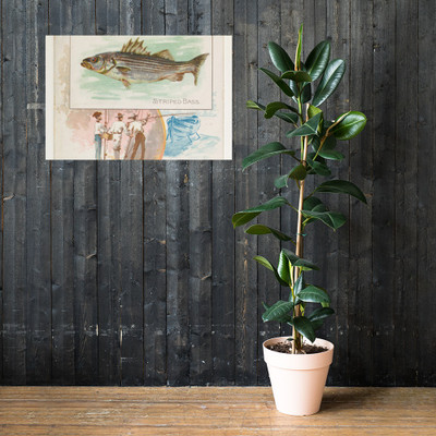 Striped Bass, from Fish from American Waters series (N39) for Allen & Ginter Cigarettes - Allen & Ginter - 1889 - Photo Paper Poster Museum quality 7742450