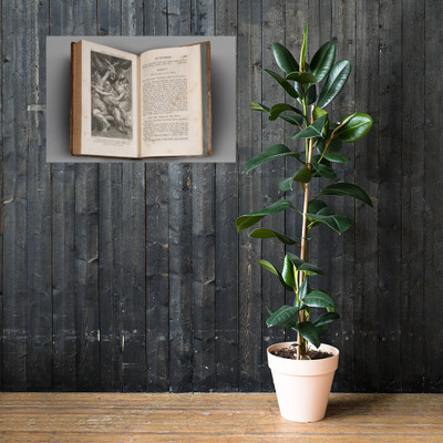 The Plays of William Shakespeare, vol. 1, containing The Tempest, Two Gentlemen of Verona, Merry Wives of Windsor - William Shakespeare - 1805 - Photo Paper Poster Museum quality 7796586