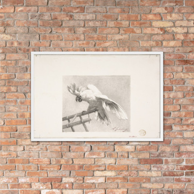 The Angry Parrot - Jean-Georges Vibert - n.d. - Matte Paper Framed Poster Museum quality 7794730