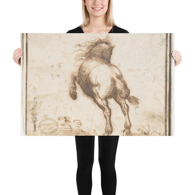 Horse - Francesco Allegrini - 1624–63 - Photo Paper Poster Museum quality 7797249