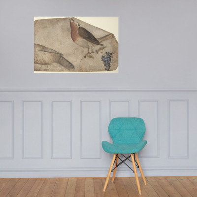 Bird Eating Grapes (recto); Tigress (verso) - Giovanni da Udine (Giovanni dei Ricamatori) - 1487–1564 - Paper Poster Museum quality 7795829