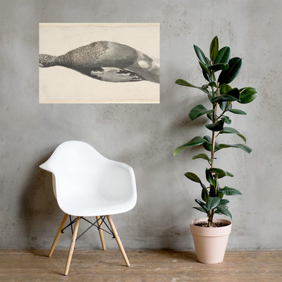 Dead Duck - Count Giorgio Durante (Duranti) - 1685–1755 - Paper Poster Museum quality 7796364