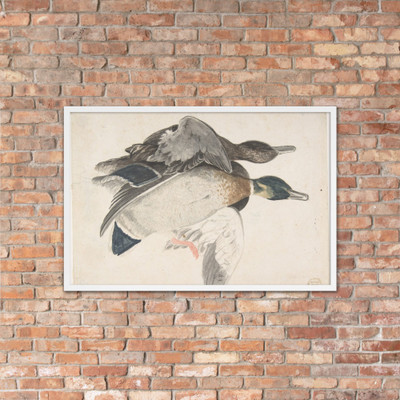 Two Dead Ducks - Count Giorgio Durante (Duranti) - 1685–1755 - Matte Paper Framed Poster Museum quality 7796362