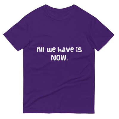 All we have is NOW. - Lightweight Fashion Short Sleeve T-Shirt Funny quotes 7818058