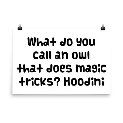 What do you call an owl that does magic tricks? Hoodini - Photo Paper Poster Funny quotes 7834299