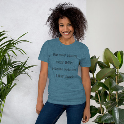 Did you know that DIET stands for: Did I Eat That? - Unisex Short Sleeve Jersey T-Shirt Funny quotes 7839625
