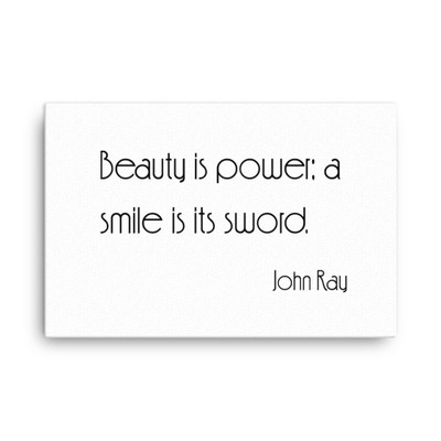 Beauty is power; a smile is its sword. - John Ray - Canvas Motivational quotes 7851026