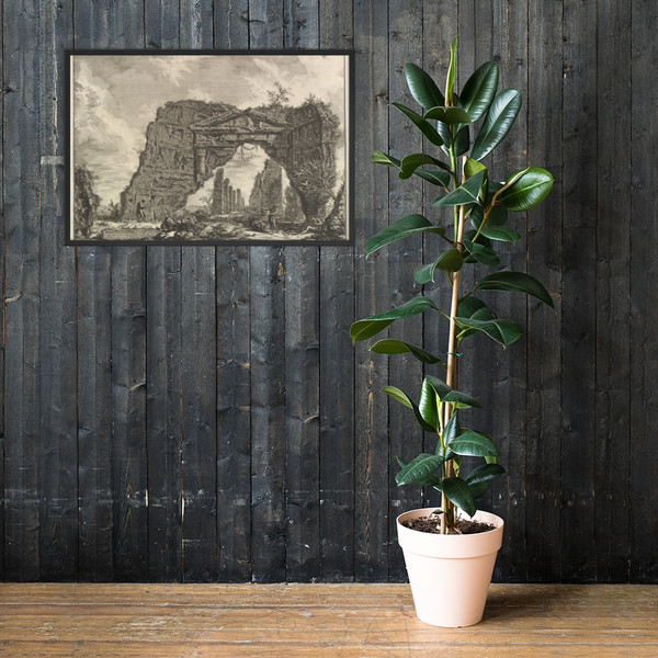 Remains of a covered portico, or a cryptoportiucus, in a villa of Domitian, five miles outside Rome on the Frascati road, from Vedute di Roma (Roman Views) - Giovanni Battista Piranesi - ca. 1766 - Matte Paper Framed Poster Museum quality 7747635