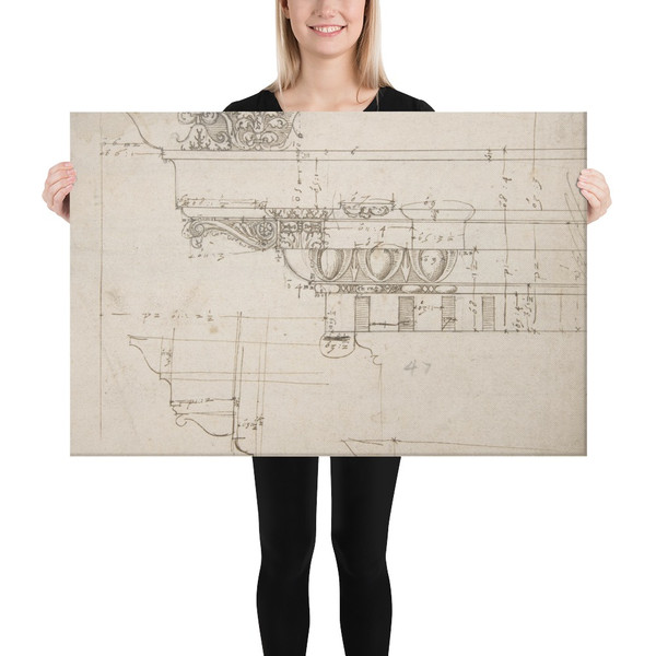 Arco dei Pantani, Forum of Augustus, cornice, elevation; schematic elevation (recto) Temple of Apollo Sosiano, column base, elevation (verso) - Anonymous, French, 16th century - early to mid-16th century - Canvas Museum quality 7738209