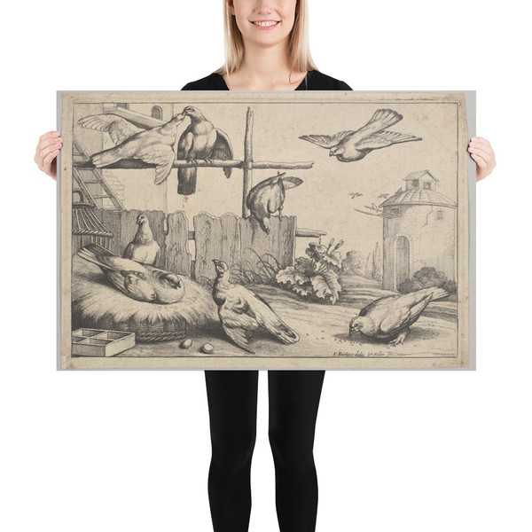 Eight  doves - Wenceslaus Hollar - 1654–58 - Paper Poster Museum quality 7739329