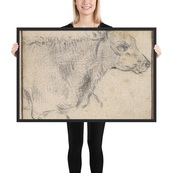 Study of a lying cow - Paulus Potter - ca. 1650 - Photo Paper Framed Poster Museum quality 7724075