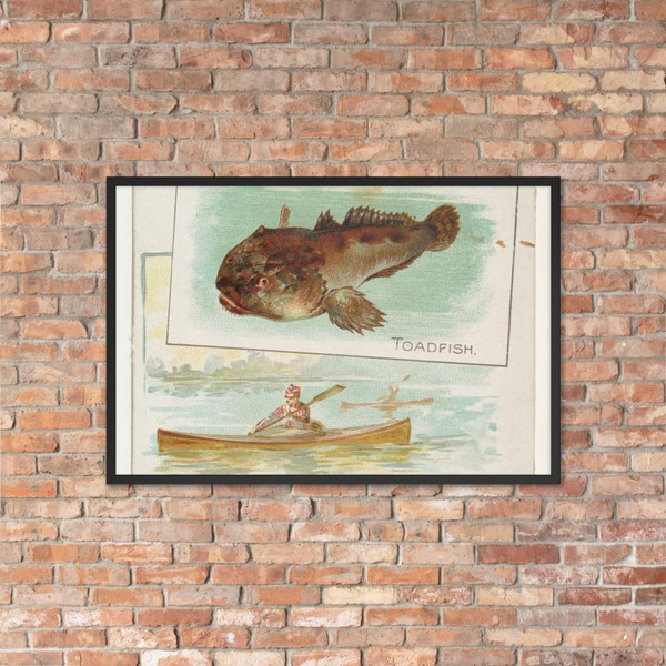 Toadfish, from Fish from American Waters series (N39) for Allen & Ginter Cigarettes - Allen & Ginter - 1889 - Matte Paper Framed Poster Museum quality 7742401
