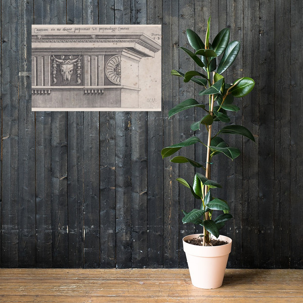 Doric Entablature - Agostino Veneziano (Agostino dei Musi) - dated 1528 - Paper Poster Museum quality 7745010