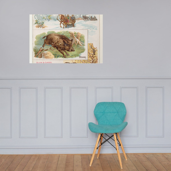 Boar, from Quadrupeds series (N41) for Allen & Ginter Cigarettes - Allen & Ginter - 1890 - Photo Paper Poster Museum quality 7748424