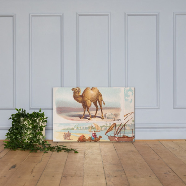 Camel, from Quadrupeds series (N41) for Allen & Ginter Cigarettes - Allen & Ginter - 1890 - Canvas Museum quality 7748528