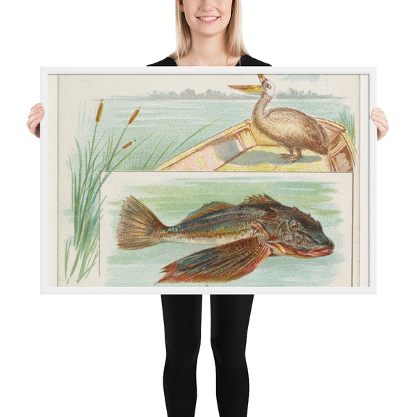 Searobin, from Fish from American Waters series (N39) for Allen & Ginter Cigarettes - Allen & Ginter - 1889 - Matte Paper Framed Poster Museum quality 7742374