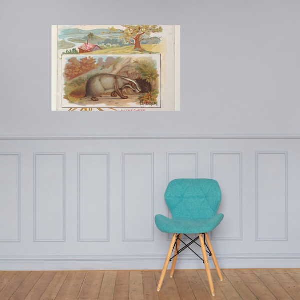 Badger, from Quadrupeds series (N41) for Allen & Ginter Cigarettes - Allen & Ginter - 1890 - Photo Paper Poster Museum quality 7748461