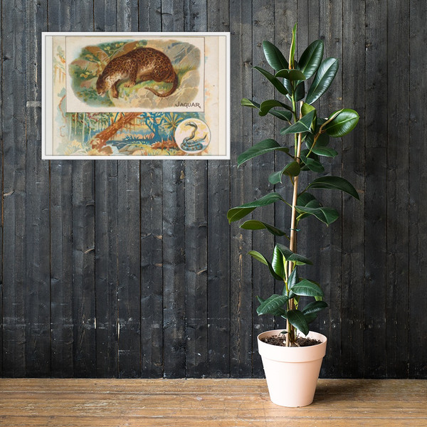 Jaguar, from Quadrupeds series (N41) for Allen & Ginter Cigarettes - Allen & Ginter - 1890 - Photo Paper Framed Poster Museum quality 7748249