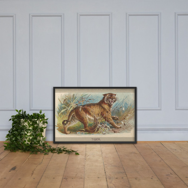 Tiger, from the Animals of the World series (T180), issued by Abdul Cigarettes - Abdul Cigarettes - 1881 - Photo Paper Framed Poster Museum quality 7741528