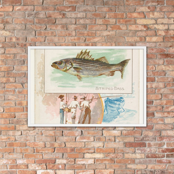 Striped Bass, from Fish from American Waters series (N39) for Allen & Ginter Cigarettes - Allen & Ginter - 1889 - Matte Paper Framed Poster Museum quality 7742438