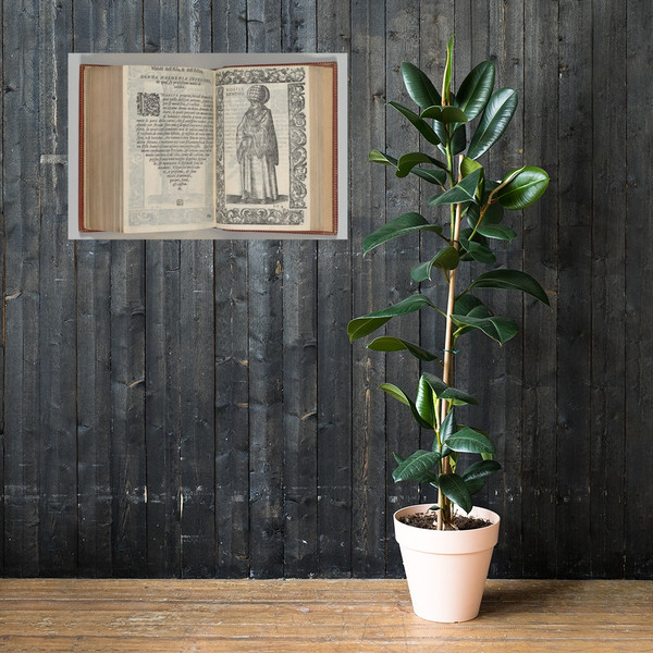 De gli habiti antichi et moderni di diversi parti del mondo, libri due ... - Cesare Vecellio - 1590 - Paper Poster Museum quality 7723941