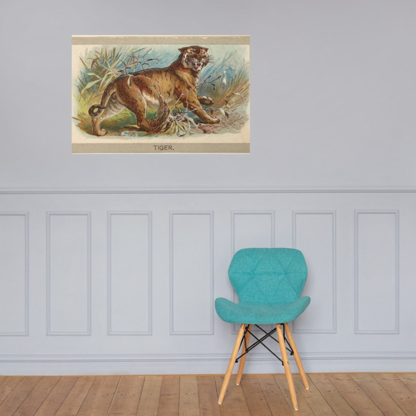 Tiger, from the Animals of the World series (T180), issued by Abdul Cigarettes - Abdul Cigarettes - 1881 - Paper Poster Museum quality 7741496