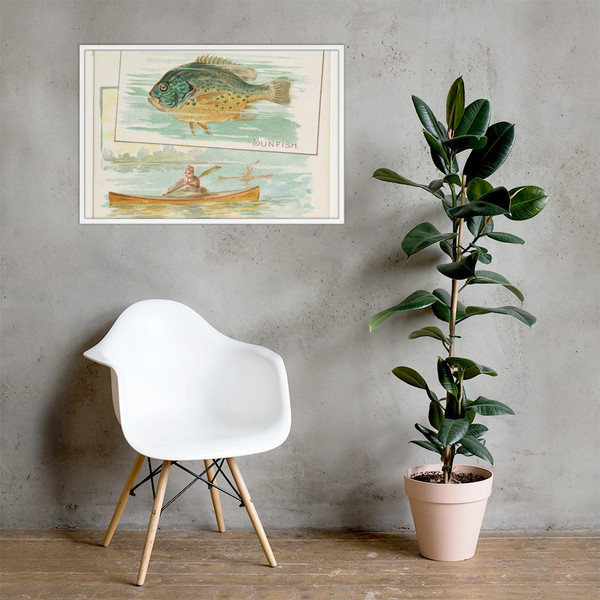 Sunfish, from Fish from American Waters series (N39) for Allen & Ginter Cigarettes - Allen & Ginter - 1889 - Photo Paper Framed Poster Museum quality 7742486